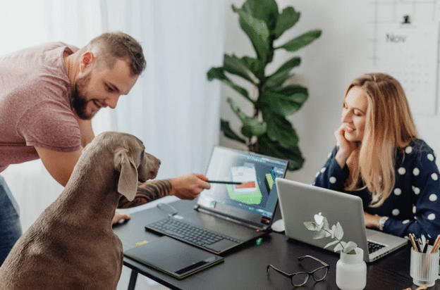 taking your dog to the office